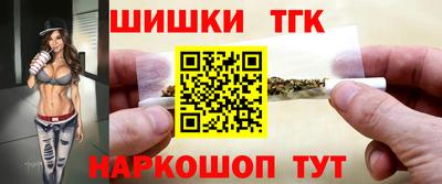 индика Боровичи